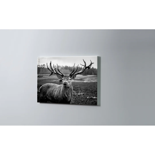 Stag Magnetic Wall Mounted Cork Board