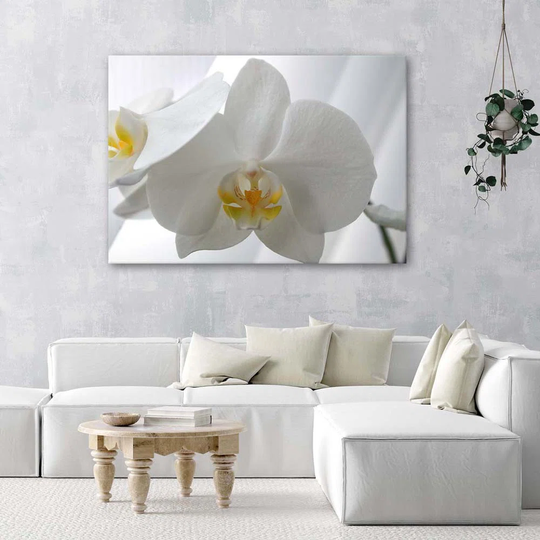 Canvas Print White Orchid Flower