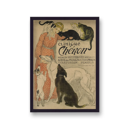 Vintage French Print Clinique Cheron Lady With Cats And Dogs No Border