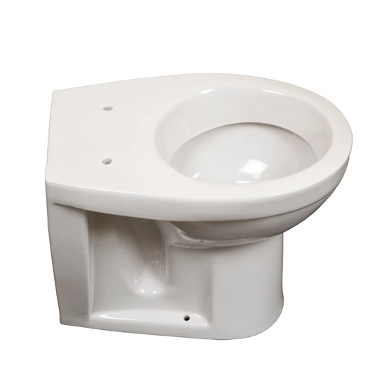 Ranieri Back to Wall Toilet with Flush
