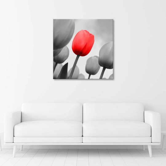 Canvas Print Red Tulip Flower
