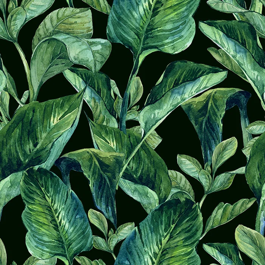 Kahdeem 3.6m x 2.5m Matte Wallpaper Roll