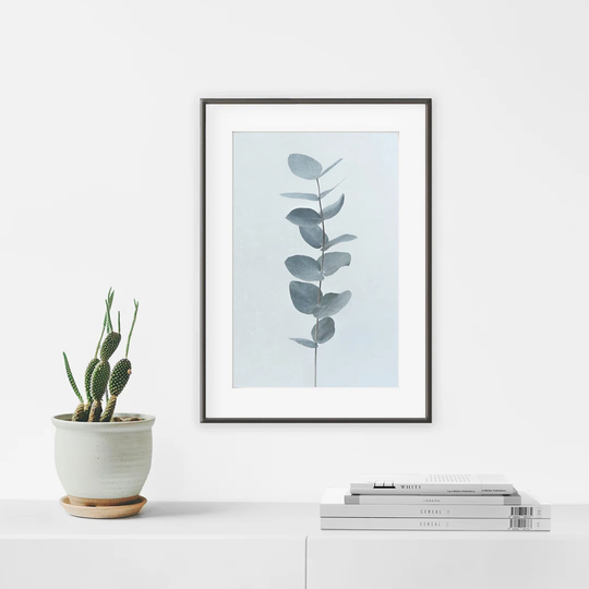 Eucalyptus - Picture Frame Graphic Art Print on Paper