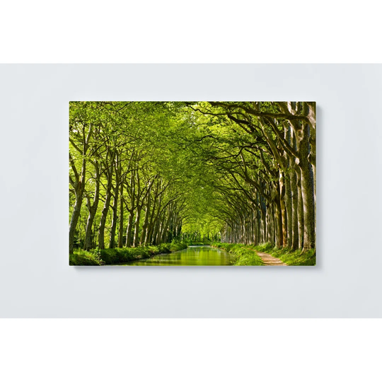 River Trees Magnetic Wall Mounted Cork Board