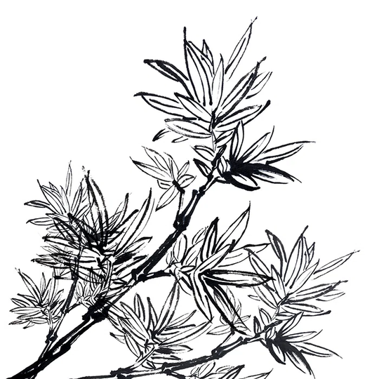 Lucinda 2.08m x 1.46m Matte Wallpaper Roll