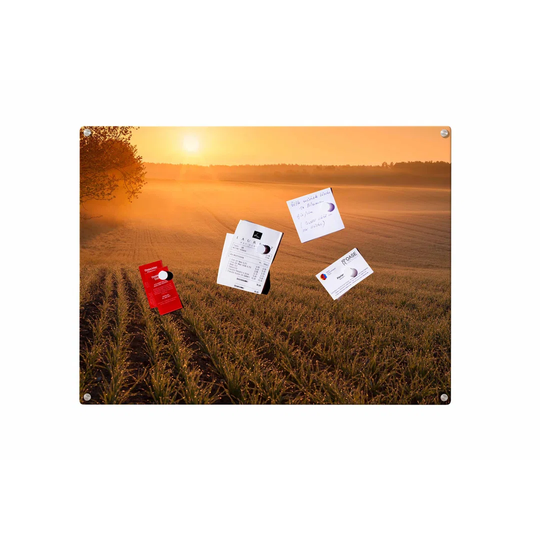 Sunrise Magnetic Wall Mounted Photo Memo Board
