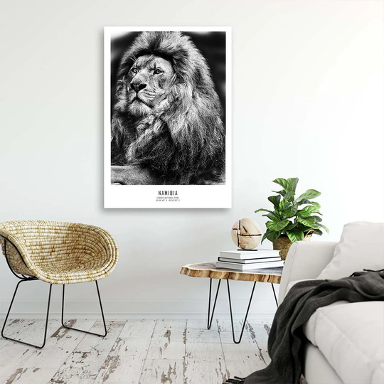 Canvas Print Africa Lion Animals