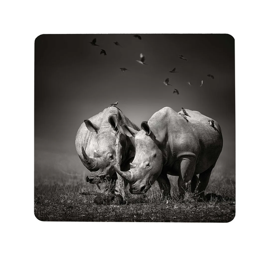 Rhino Magnetic Wall Mounted Photo Memo Board