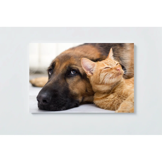 Dog and Magnetic Wall Mounted Cork Board