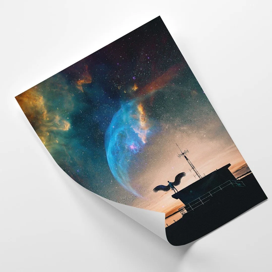 Poster, Magic Night