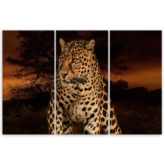 Canvas Print Leopard Cat Safari