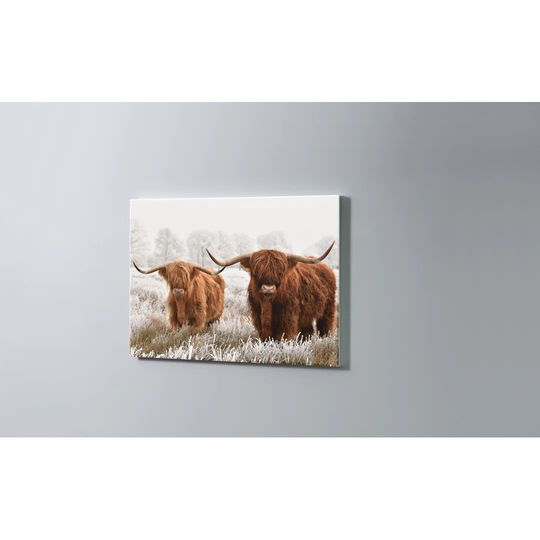 Yak Magnetic Wall Mounted Cork Board