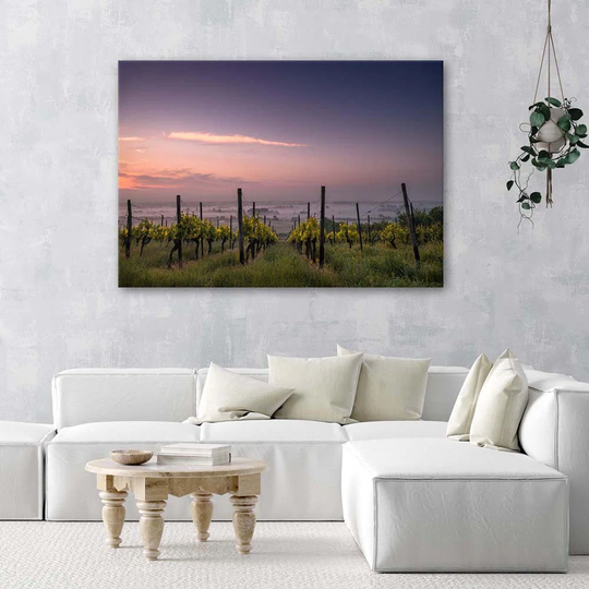 Canvas Print Grapes Vineyard Landscape