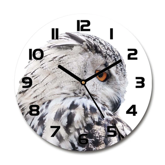 Decoration Picture Art Modern Kitchen Living Room Owl 30cm Silent Wall Clock