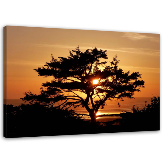 Canvas Print Tree Sea Sunset