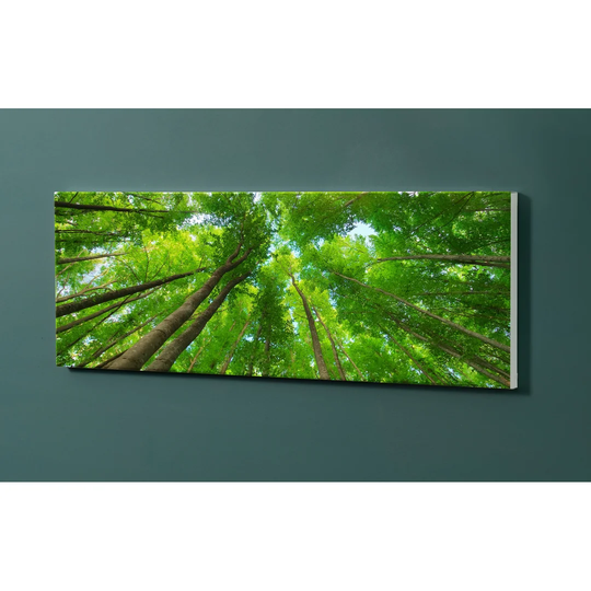 Notiz Motive Forest Trees Magnetic Wall Mounted Cork Board