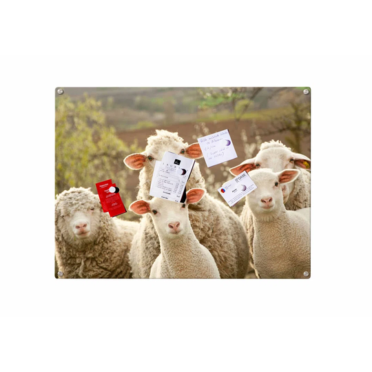 Sheep Magnetic Wall Mounted Photo Memo Board