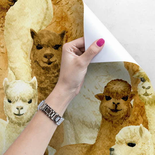 Arbo Alpaca Animal Wallpaper