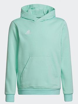 Boys, adidas Entrada 22 Sweat Hoodie, Yellow, Size 7-8 Years