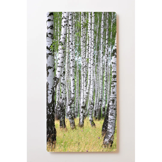 Backlight Birch Forest Magnetic Wall Mounted Cork Board