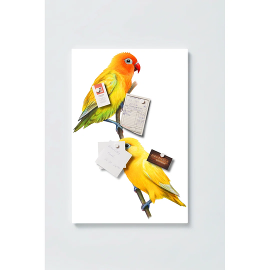 Birds Motif Magnetic Wall Mounted Cork Board