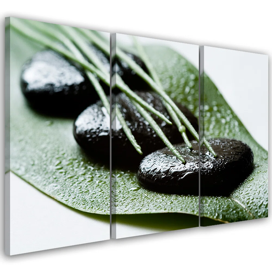 Canvas Print Natura Zen Leaf Stones