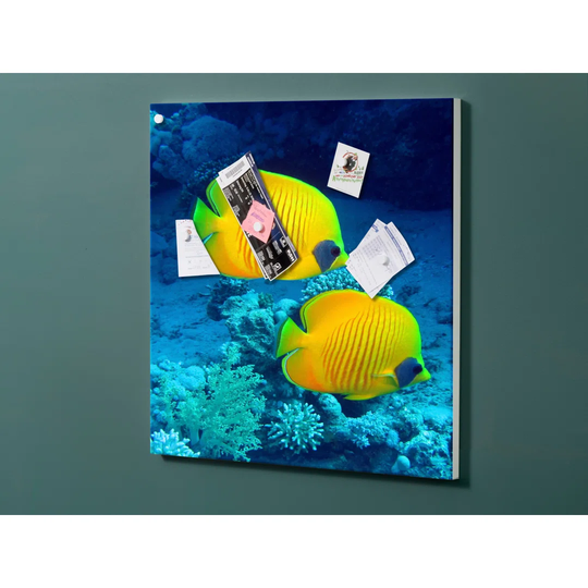 Notiz Motive Fish Magnetic Wall Mounted Cork Board
