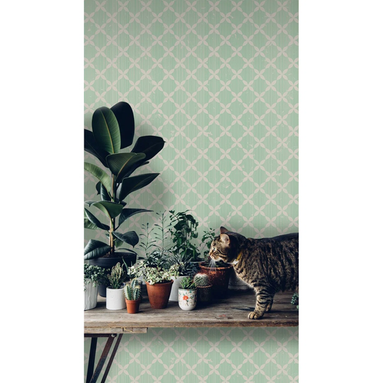 Jalanie 2.5m x 2.5m Matte Wallpaper Roll