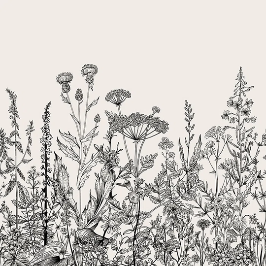 Cabriales Wallpaper