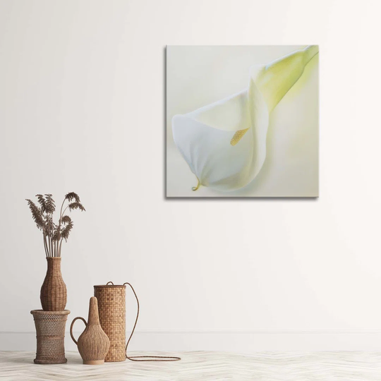 Canvas Print Callas Flowers Nature White