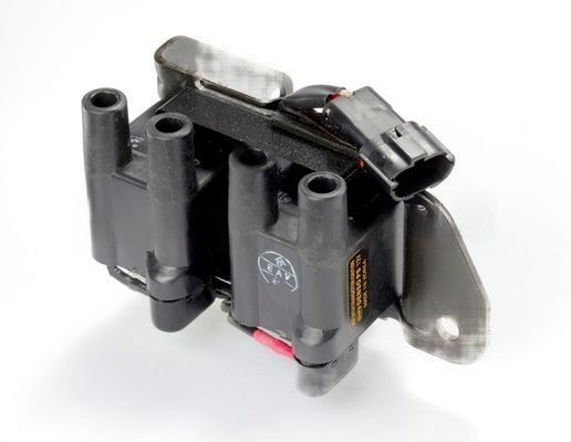 Dry Ignition Coil Intermotor 12452