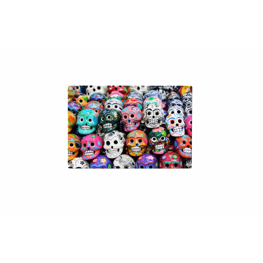 Day of the Dead Magnetic Wall Mounted Photo Memo Board