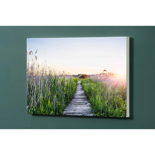 Landing Meadow Magnetic Wall Mounted Photo Memo Board