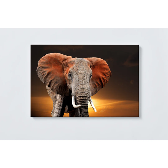 Elephant Magnetic Wall Mounted Cork Board