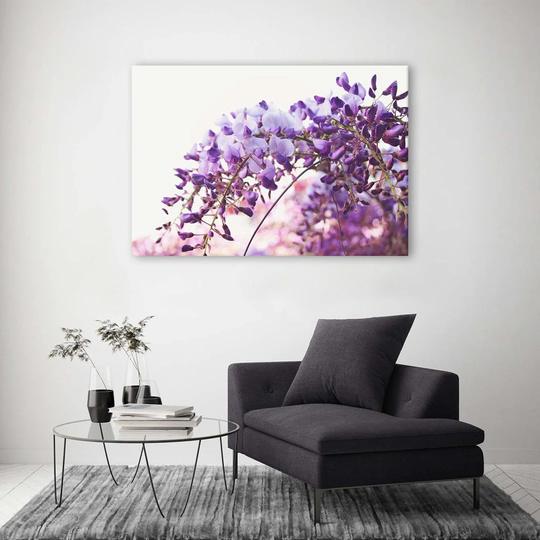Canvas Print Glycine Flowers Nature