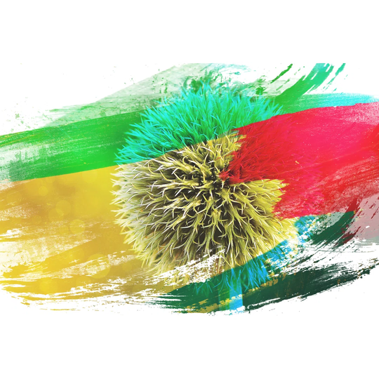 'Yellow Flower Globe Thistle' Graphic Art Print Poster