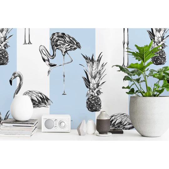 Anji 2.5m x 2.5m Matte Wallpaper Roll