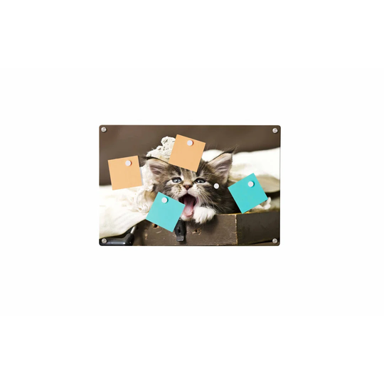 Cat Magnetic Wall Mounted Photo Memo Board