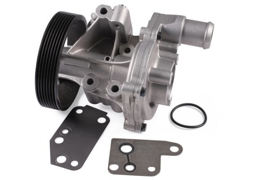 Water Pump P248