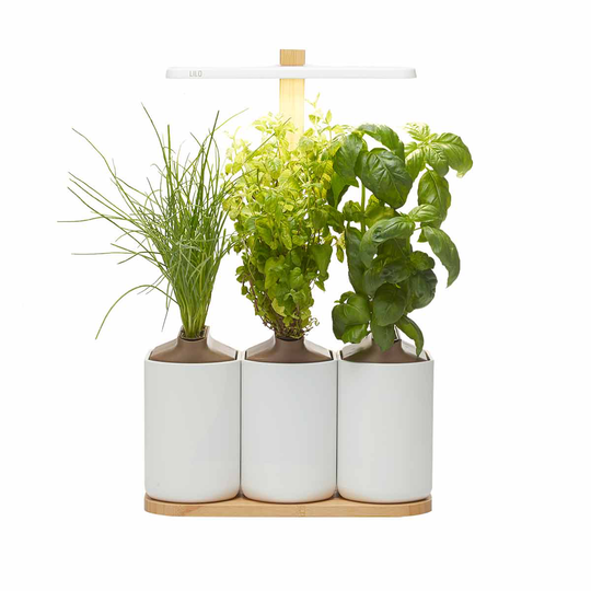 Pret A Pousser Lilo Connect Garden With Basil Lemon Basil Chives Pods