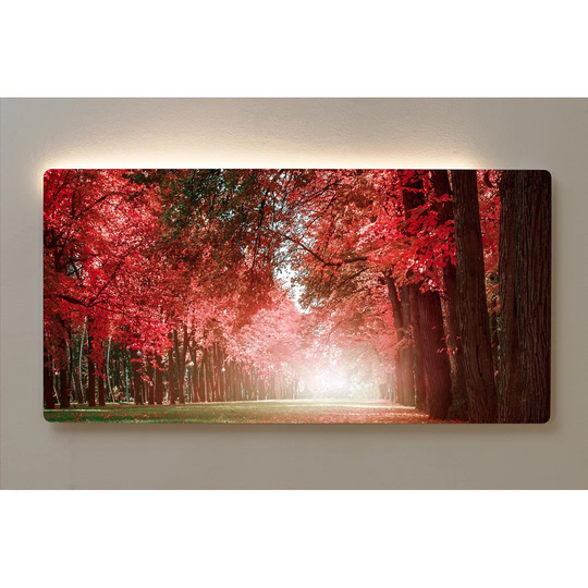 Backlight Motive Wall Picture Tree Avenue Magnetic Cork Board