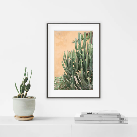 Senegal Cactus - Picture Frame Photograph Print on Paper