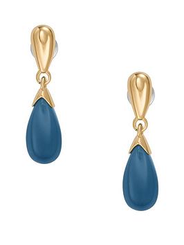 Skagen Sea Glass Womens Drop Earrings