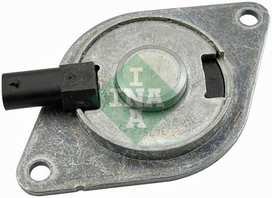 Central Magnet, camshaft adjustment 427001810