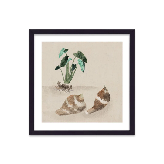 Vintage Japanese Vegetable Yams by Vouvart - Picture Frame Graphic Art