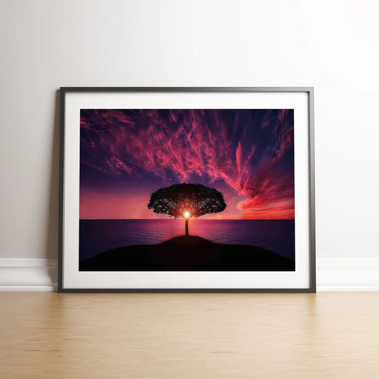 Pink And Purple Sunset