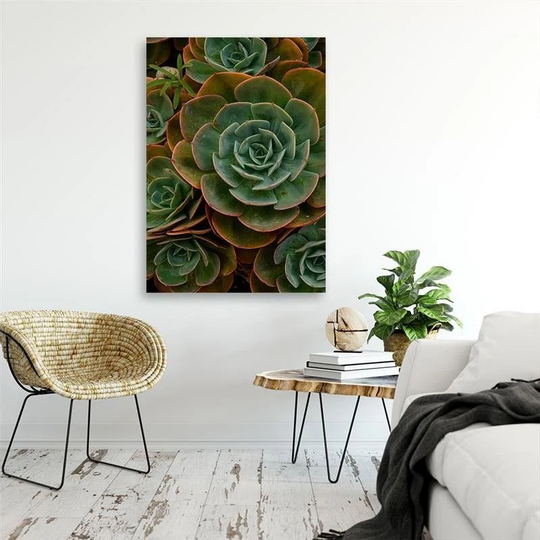 Canvas Print Green Succulent Flower