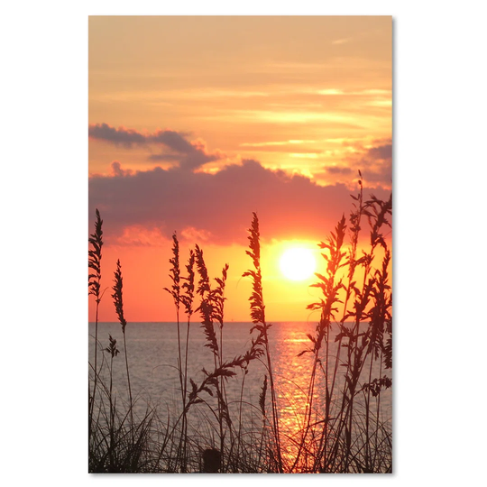 Canvas Print, Orange Landscapes 16402