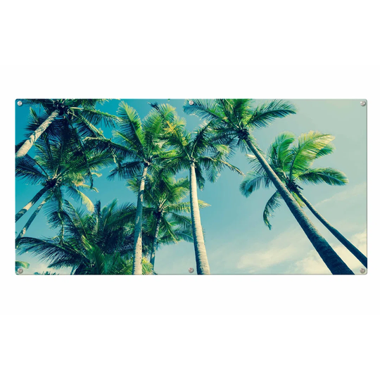 Palms Magnetic Wall Mounted Photo Memo Board