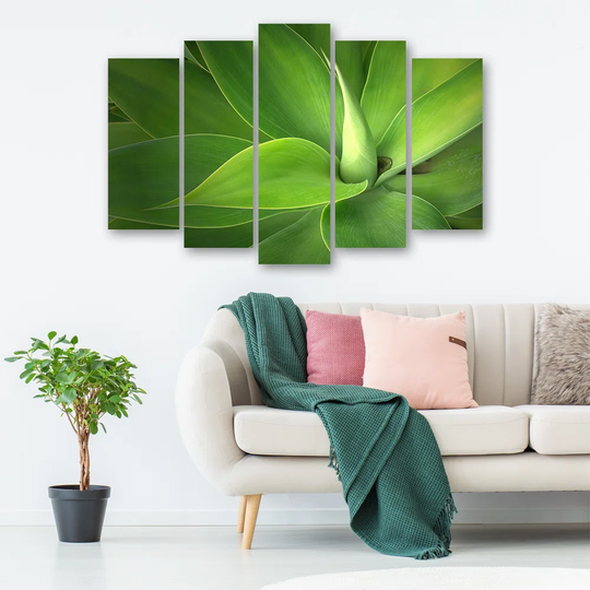 Green Leaf Plants